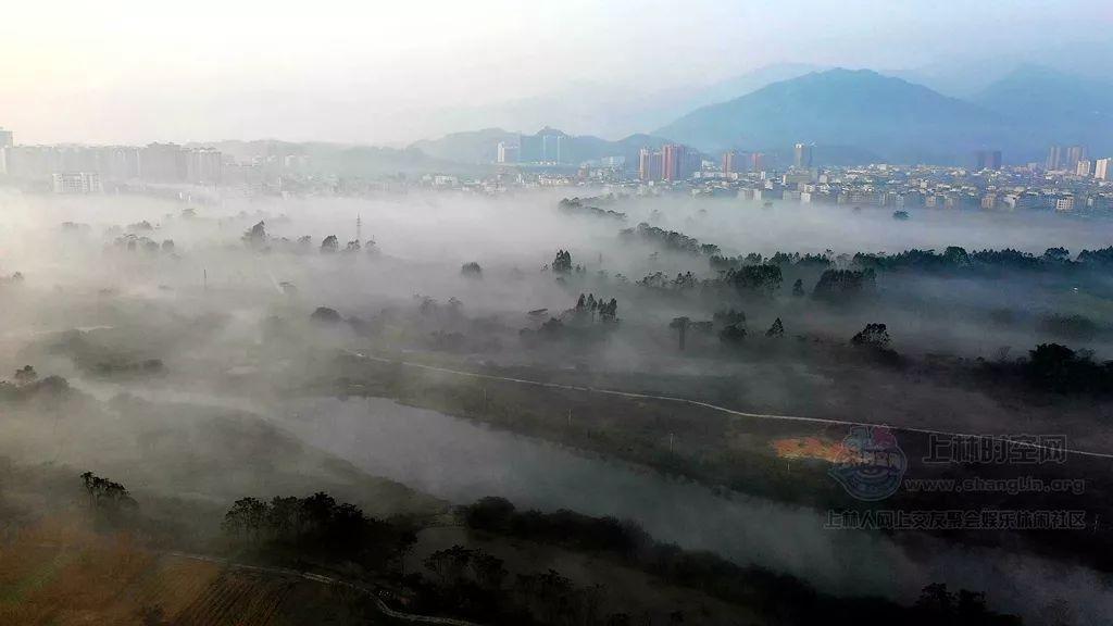 为什么不结婚,这里告诉你答案