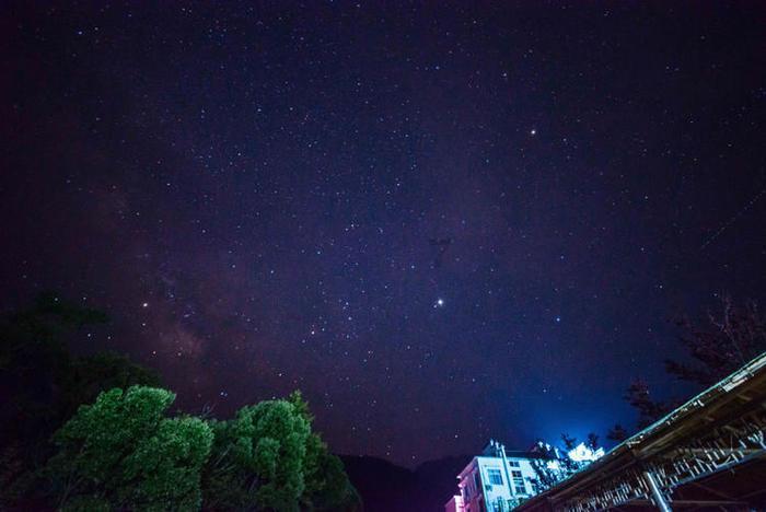 探索问答,尽在怎样防治月季花出现黄叶?平台!